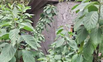 Imagem 4: ótimo lote de terreno