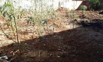 Imagem: Terreno de 200m² à venda - Jardinópolis