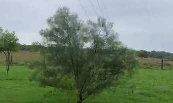 Imagem 3: FAZENDA 7 ALQUEIRES ALEXÂNIA- GO