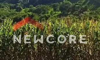 Imagem: Chácara em Estrada Sem N° - Linha Sol