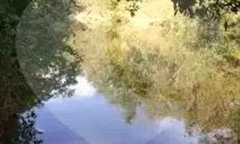 Imagem 7: Chácara com 2 quartos à venda em Área Rural De Cuiabá - MT