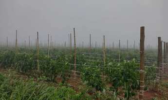 Imagem 2: E 10 hequetario a venda na rua 24 lago oeste