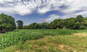Imagem 3: Chácara à Venda, Esquina Penz, Ernestina