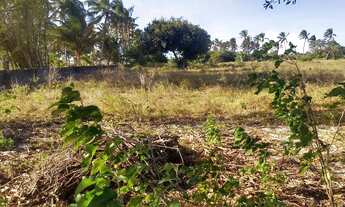 Imagem: Terreno próximo à praia da baleia Ceará