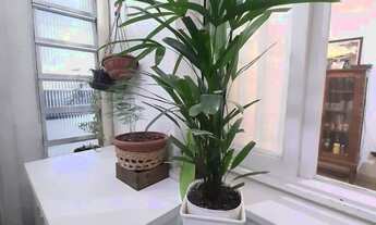 Imagem 6: Apartamento em Santana