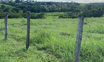 Imagem 7: Fazenda de 152 alqueires em Nova Crixas-GO