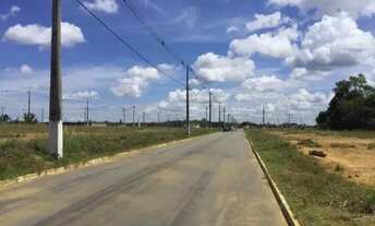 Imagem 4: Nova Amazonas com lotes prontos para construir