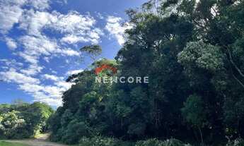 Imagem 7: Lote em Avenida Chimangos - Colinas - São Francisco de Paula/RS