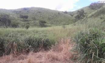 Imagem 6: Fazenda 435 alqueires ,município de Itambacuri -MG