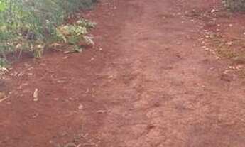 Imagem 2: Sítio a 27km de Uberlândia