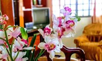 Imagem 6: Linda chácara no rio Ivaí (Vivenda dos pescadores) 20 min d Maringá permuta carro, terreno