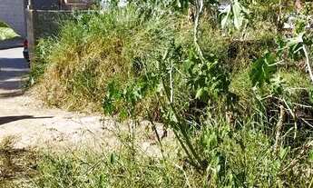 Imagem 5: Terreno 125 m2 em s. pedro- sant. paraíba- facilitado- entrada e mais parcelas