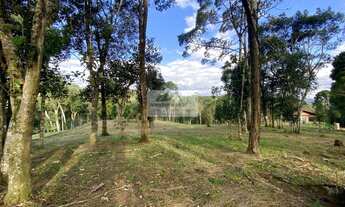 Imagem 6: Sítio à venda no bairro Centro - Campo Alegre/SC