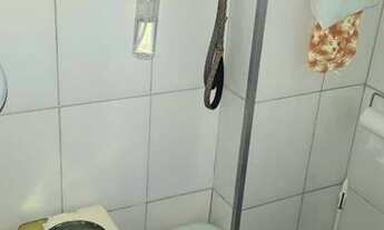 Imagem 2: SãO PAULO - Padrão - Aclimação