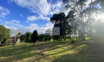 Imagem 7: Sítio à venda no bairro Centro - Campo Alegre/SC