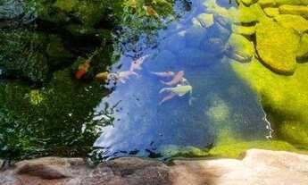 Imagem 4: Excelente Imóvel Granja Viana!