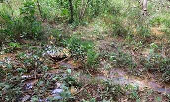 Imagem 7: Chácaras de 20.000m² com nascente, Jaboticatubas(Temos varias opções)