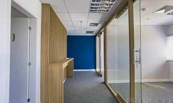 Imagem 6: Sala - Cambuí - Campinas