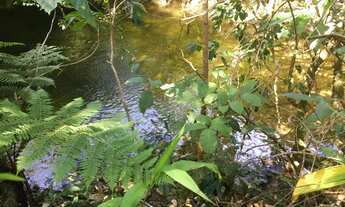 Imagem 2: Chácara, 20.000 m2, até 11 hectares, prox. Pousada Paraíso, córrego translúcido - Pirenópo