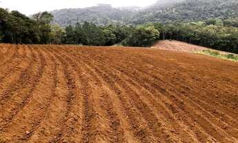 Imagem 4: Sítio em Piedade