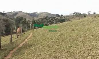Imagem 2: SÍTIO DE 13 ALQUEIRES À VENDA EM Lorena -SP