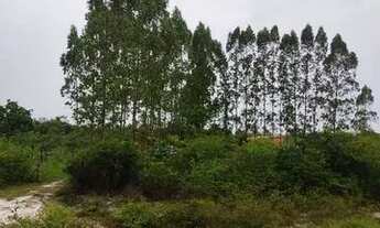 Imagem 13: Vende-se Fazenda Rio Grande / Perimetro: 3,162,32m