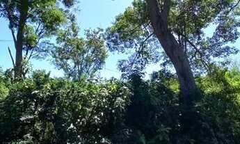 Imagem 2: CHÁCARA NO BARRANCO ALTO 2