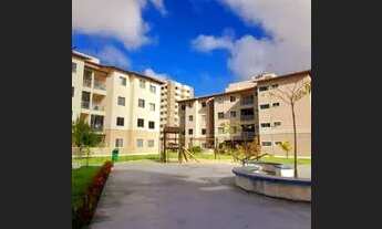 Imagem 5: Recanto dos Coqueiros