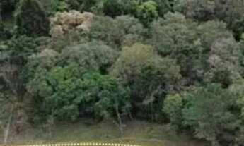 Imagem 4: Chácara , sítio