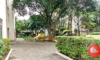 Imagem 6: São Paulo - Apartamento Padrão - Brás