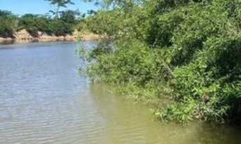 Imagem 4: CHÁCARA NO BARRANCO ALTO 2