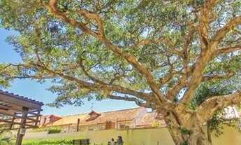 Imagem 16: Apartamento com 3 Dormitorio(s) localizado(a) no bairro IPANEMA em Porto Alegre / Ref.:O