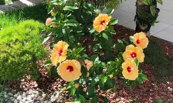 Imagem 2: Casa duplex para aluguel em Buraquinho