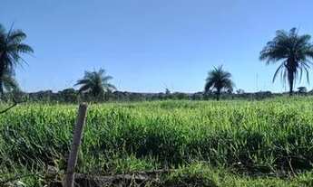 Imagem: Vendo fazenda 661 hectares