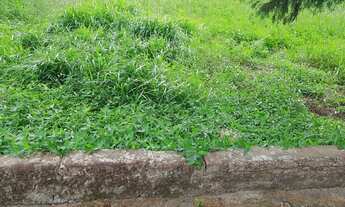 Imagem 2: Ivoti - Terreno Padrão - Centro