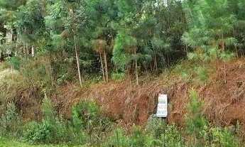 Imagem 2: Terreno à Venda em Gramado no Loteamento Marsal!