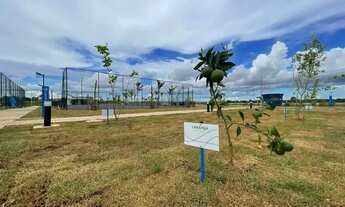 Imagem 7: Terreno no bairro Jardim Imperial em Várzea Grande - MT