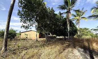 Imagem 3: Vendo sítio no interior de Japoatã - Se