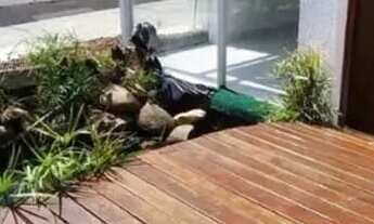 Imagem 6: Casa Tripléx com piscina, lago ornamental e hidro, no Portal do Poço