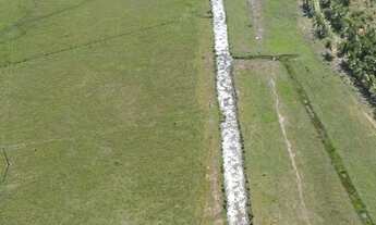 Imagem 5: Sitio a 1 km da BR trevo de Alfredo chaves tudo baixa 5 mil pé de café novos 2.8 alqures