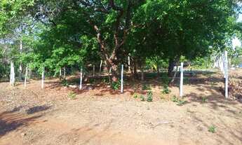 Imagem 3: Lote área rural chacaras