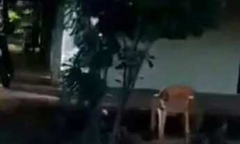 Imagem 4: Vendo chácara Casa com 2 dormitórios