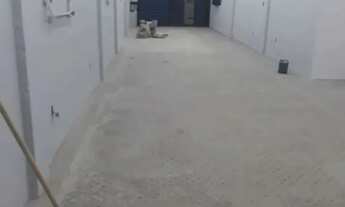 Imagem 2: PRÉDIO - BELENZINHO - SP