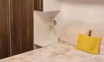 Imagem 5: Imóvel para aluguel possui 180 metros quadrados com 4 quartos em Braga - Cabo Frio - RJ