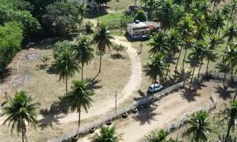 Imagem 7: Sitio a 1 km da BR trevo de Alfredo chaves tudo baixa 5 mil pé de café novos 2.8 alqures