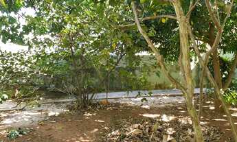 Imagem 3: Terreno em Americana