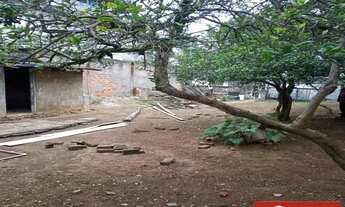 Imagem 7: Terreno ENGENHEIRO GOULART São Paulo/SP