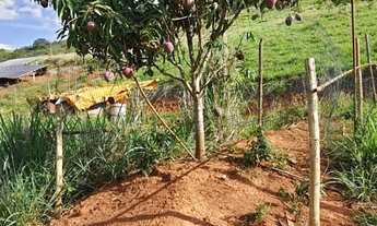 Imagem 4: Chácara em Rio Casca