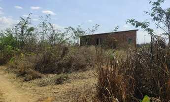 Imagem: Vende-se Lote 7,5 Hectares - Irrigado! No