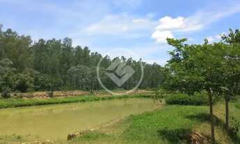 Imagem 3: FAZENDA COM ESTRUTURA PARA PISCICULTURA E EUCALIPTO - R$ 3.200.000,00 - SANTO ANTONIO LEVE